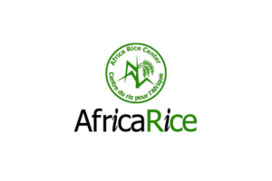 Africa Rice