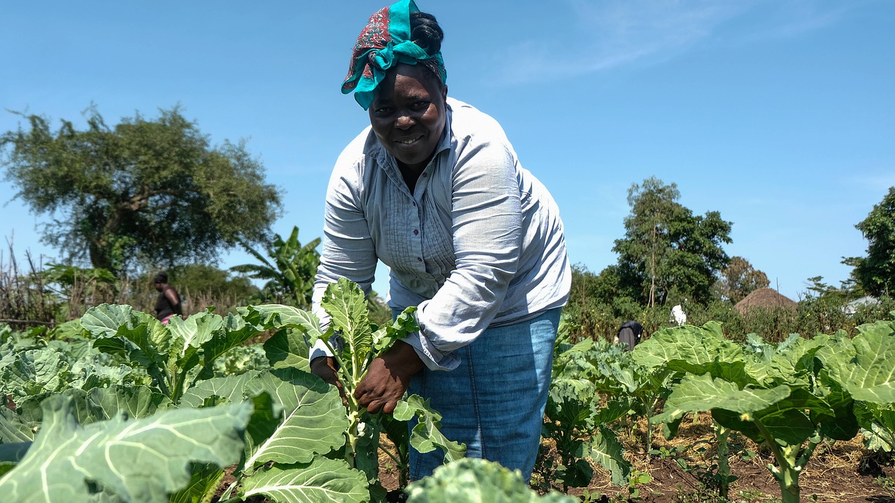 Developing Representative Sampling Frames for Multi-Location On-Farm Research