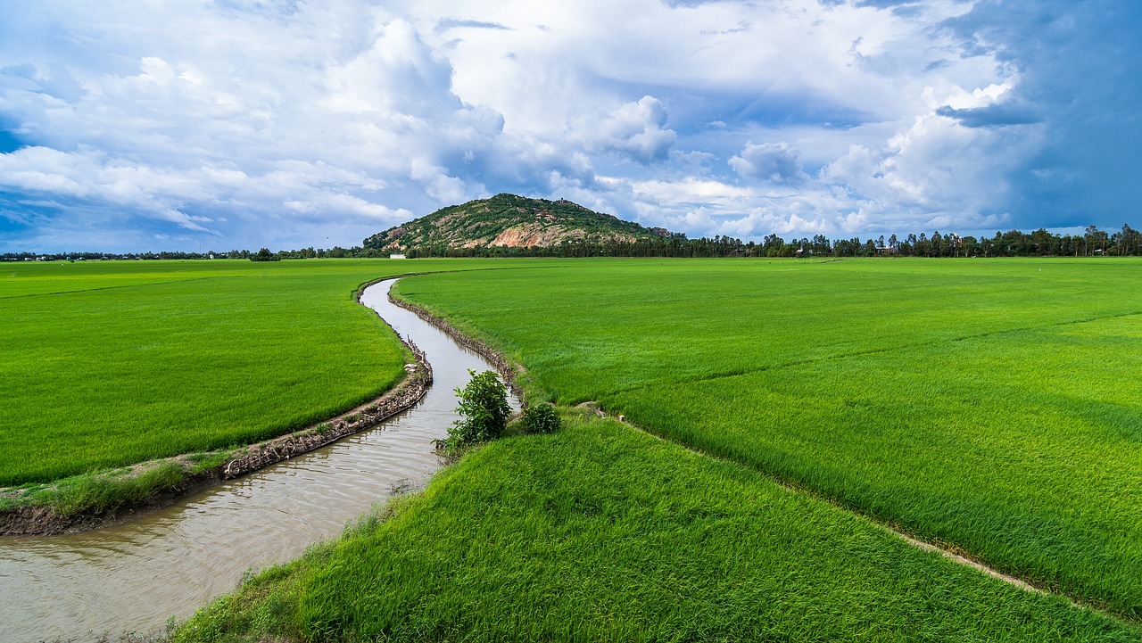 Building Climate Resilience of Rainfed Systems through Agricultural Water Management